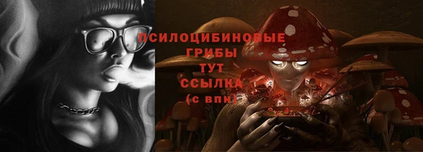 герыч Алексин