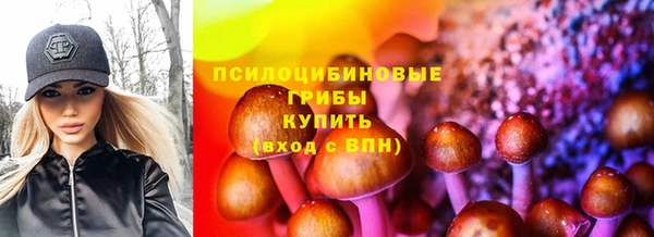 синтетический гашиш Алексеевка
