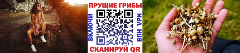 гидра tor  Санкт-Петербург  Галлюциногенные грибы Magic Shrooms 